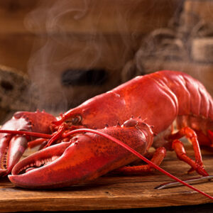 https://winterharborlobstercoop.com/wp-content/uploads/2024/03/steamed-maine-lobster-1-300x300.jpg